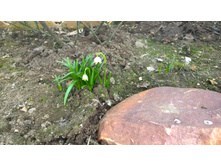 WP 20170409 11 55 07 Pro.jpg