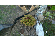 WP 20170514 16 33 35 Pro  highres.jpg