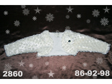 ������  2860 Overdo  80 ���.