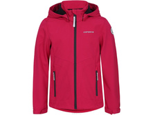 ���. ����