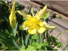 ��������� ������ ������