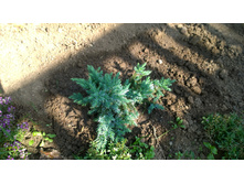 WP 20170820 09 46 45 Pro.jpg