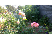 WP 20170820 09 47 22 Pro  highres.jpg