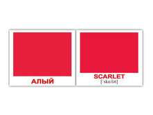 ����� "����-40. Colors/�����" 1055 - 123 ���.