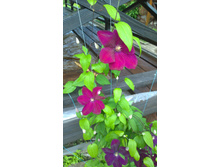 WP 20170709 12 38 49 Pro.jpg