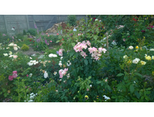 WP 20170728 20 29 33 Pro  highres.jpg