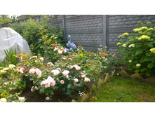 WP 20170721 09 28 57 Pro  highres.jpg