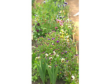 WP 20170701 15 23 36 Pro.jpg