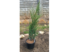 WP 20170514 16 31 48 Pro.jpg