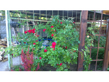 WP 20170716 18 45 58 Pro.jpg