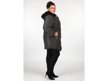 ������ 2617323-53.jpg