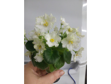 �-����� ����