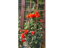 WP 20170820 09 41 38 Pro.jpg