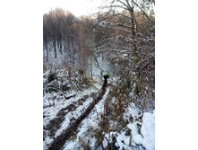 IMG 20171104 143324.jpg