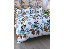 343 ������.jpg