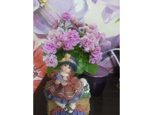 Sassy Sister (S. Sorano)