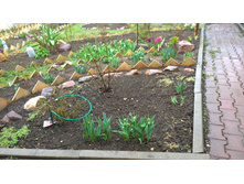 WP 20170508 11 52 33 Pro.jpg