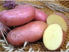 ��� ������� (1-� �����������), 53���. (�������� 12��).jpeg