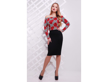 ������ ������