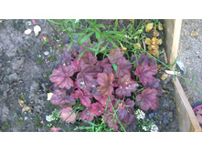 WP 20170811 16 51 09 Pro.jpg