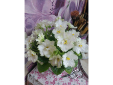 IMG 20171120 115623[1].jpg