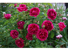 ������ �������  180�