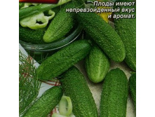 ������ ����� F1 20,00
