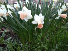 IMG 20170521 164344.jpg