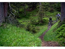 13308376484 1c8a328eb3 o.jpg