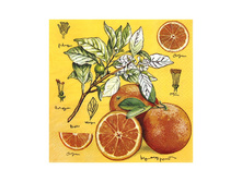 ������� �������� Prestige 3-�� 20� �������� 38,40.jpg