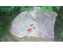 WP 20170628 19 19 48 Pro.jpg