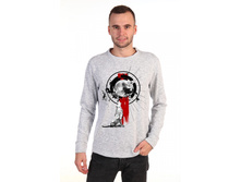 No�40 ��������