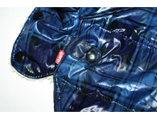 10924 ������ 'Lim-Strip' ����� 1.jpg