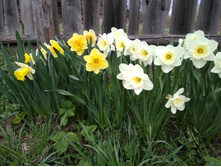 IMG 20170506 170757.jpg