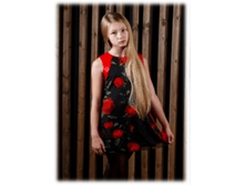 1108	����	1340-	1440