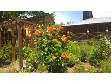 WP 20170713 09 40 40 Pro.jpg