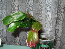 IMG 5488.JPG