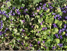 IMG 20170501 152002.jpg