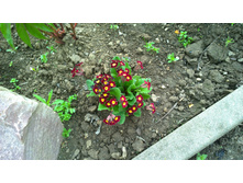 WP 20170527 09 49 58 Pro  highres.jpg