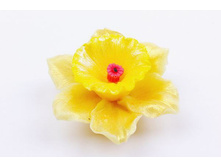 ���� ������ ������ "������� �������� ����-֣����" 105,00 ���. ���: 90 �