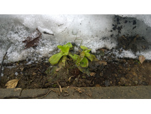 WP 20170319 12 35 12 Pro.jpg