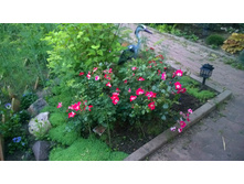 WP 20170719 20 56 28 Pro  highres.jpg