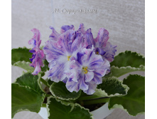 ��-������� ����2.jpg