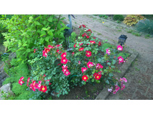 WP 20170721 09 07 18 Pro.jpg