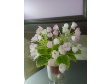 ������ �����������. ����������� �.����������