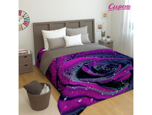 02933  "��������� ����"