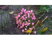 WP 20171015 15 52 21 Pro.jpg