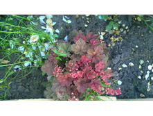 WP 20170811 16 50 18 Pro.jpg