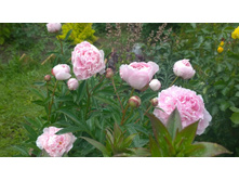 WP 20170701 15 21 42 Pro.jpg