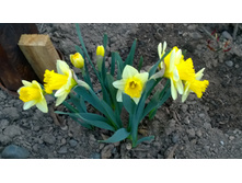 WP 20170504 19 44 04 Pro.jpg